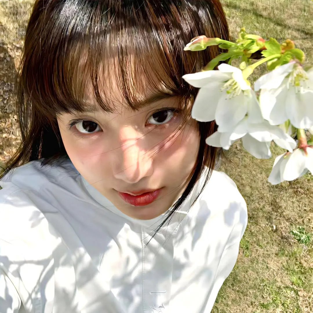 杜鹃的婚约